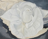 White Calico Rose, 1930